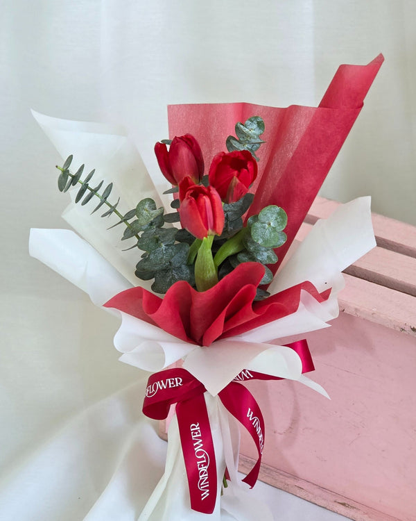 Tulip Red