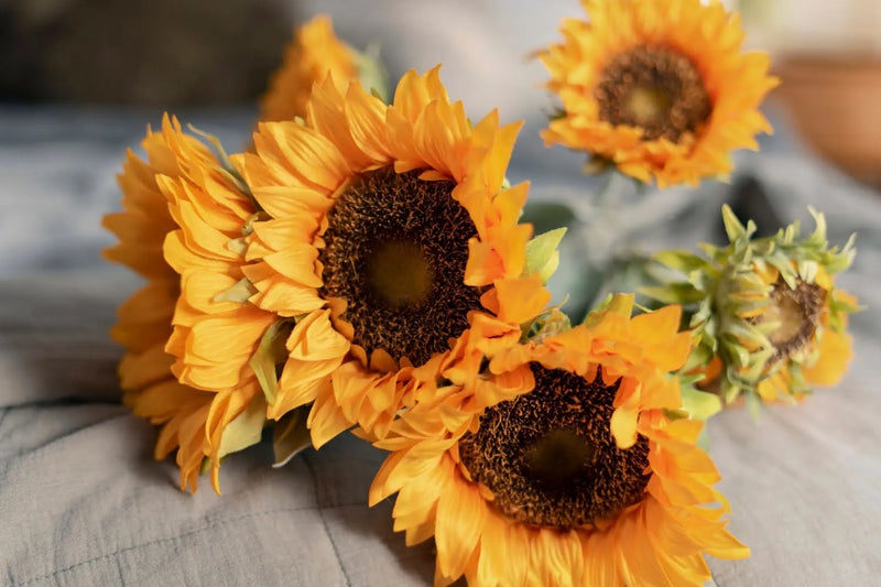 15 Flowers That Represent Good Fortune For Any Life’s Milestones