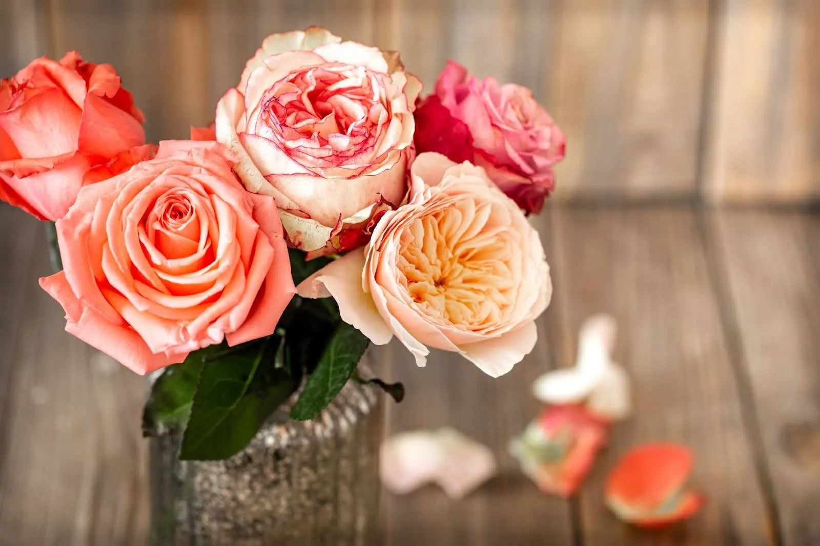 17 Best Hypoallergenic Flowers For Your Loved Ones