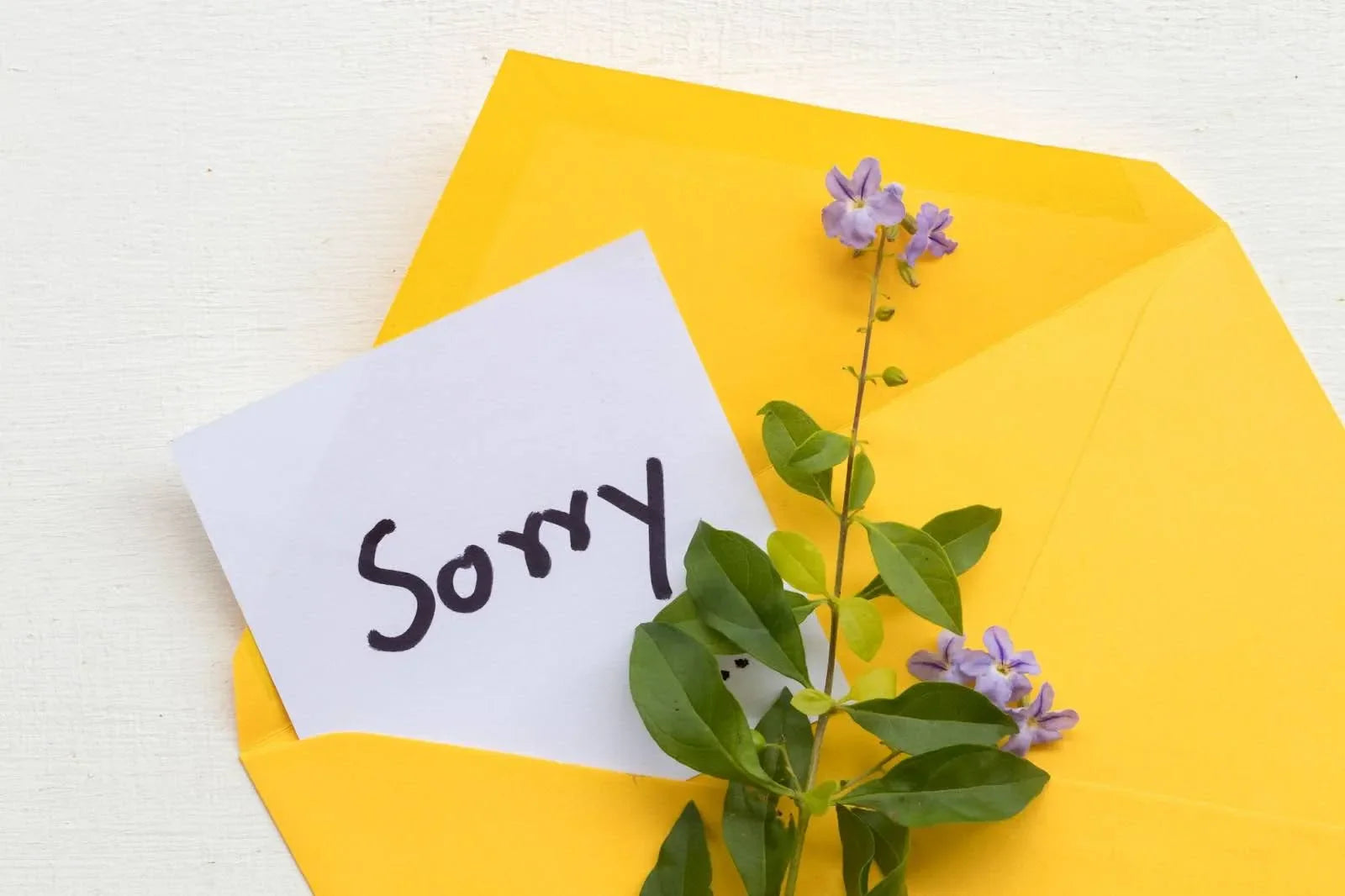 195 Heartfelt Apology Messages: Best Sorry Notes & Flowers 