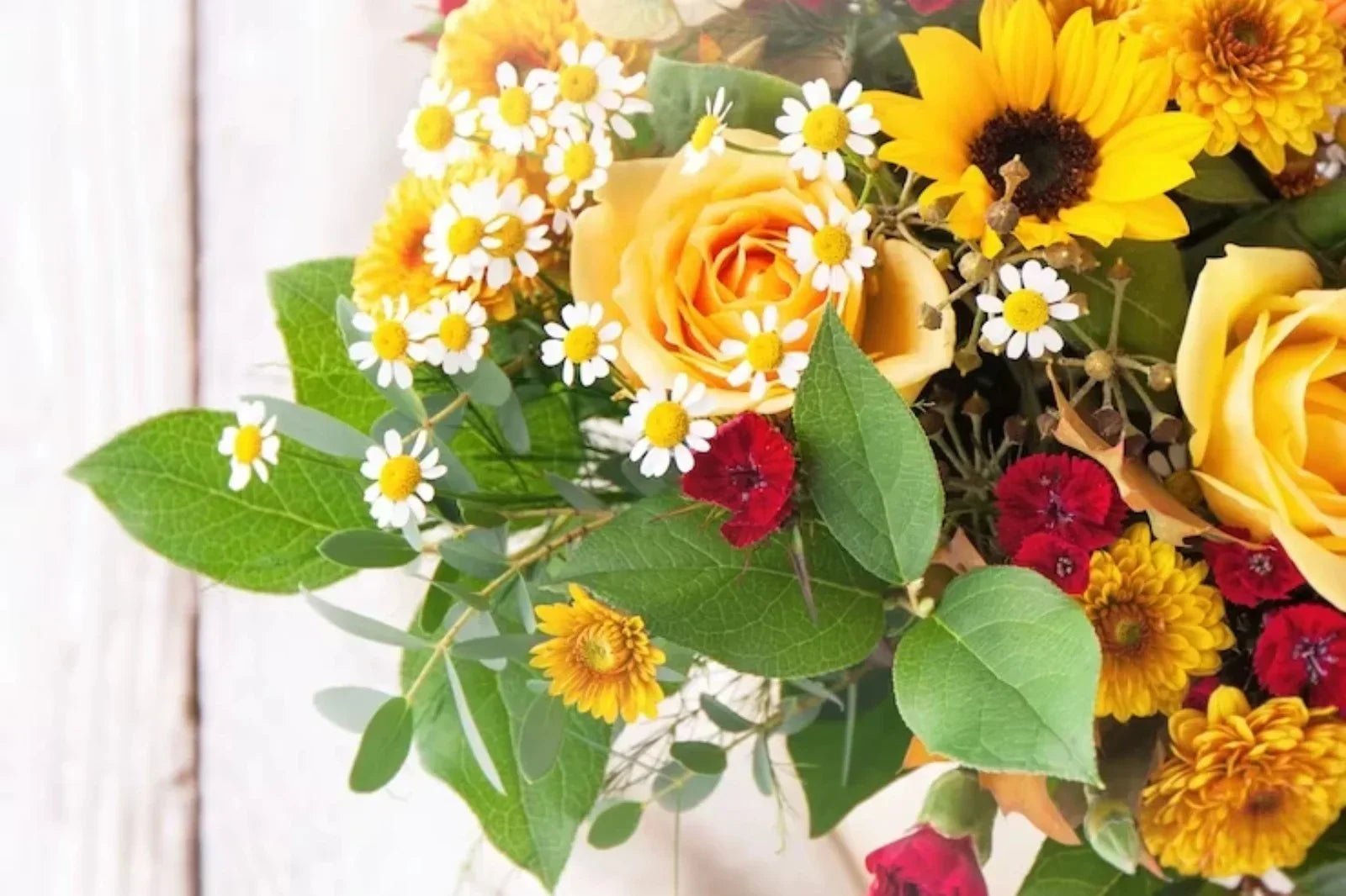 27 Flowers That Represent Healing, Strength, And Resilience - Windflower Florist