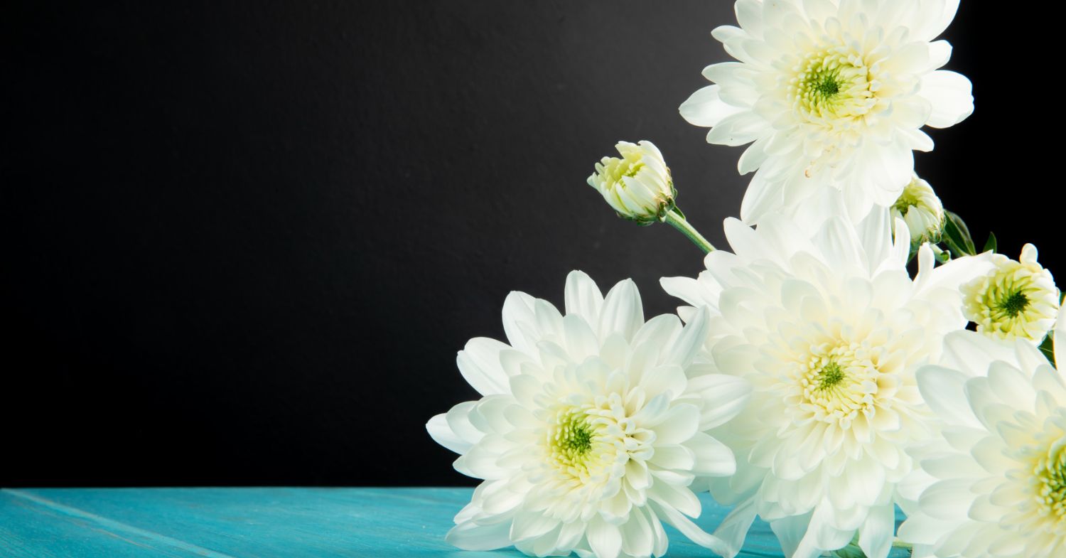 <a href="https://www.jim-reviews.com/best-condolence-flowers-singapore/" target="_blank">JimReviews</a>