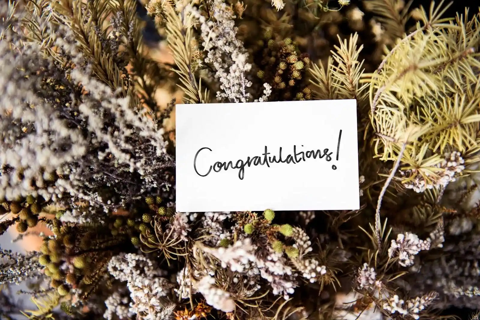 55 Best Congratulations Card Message Ideas