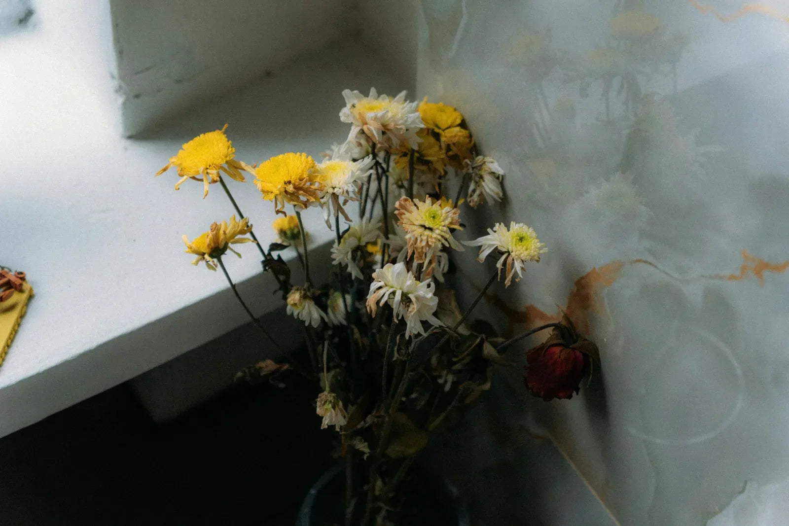 7 Tips On How To Bring Dead Flowers Back To Life [As Of 2025]