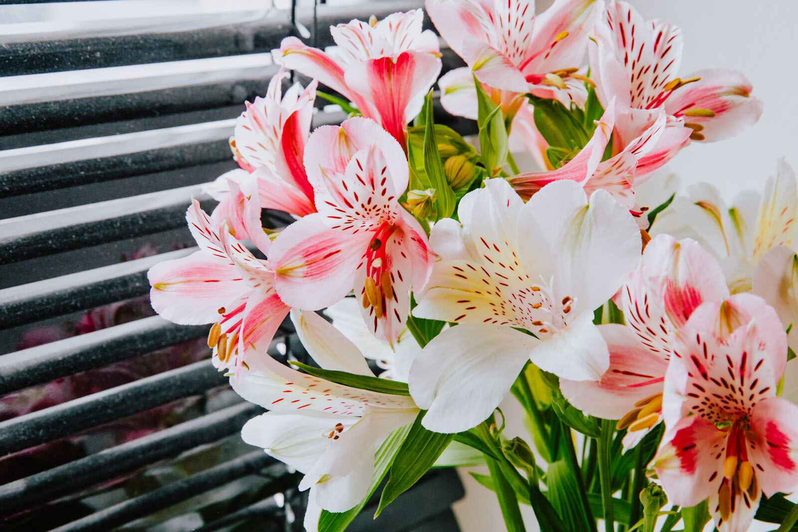 A Guide To 39 Stunning Flowers That Look Like Lilies (But Aren't)