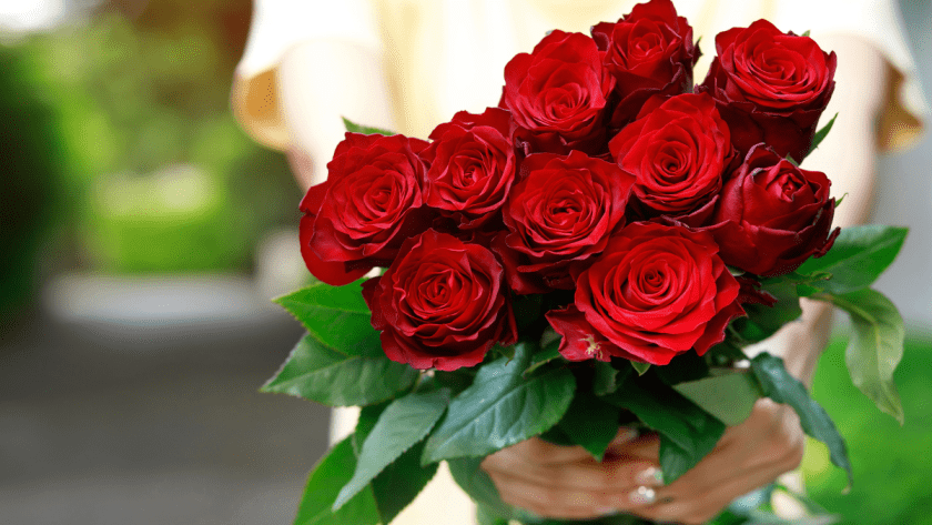 <a href="https://bestfloristdelivery.sg/best-proposal-flower-bouquet/" target="_blank">Best Florist Delivery</a>