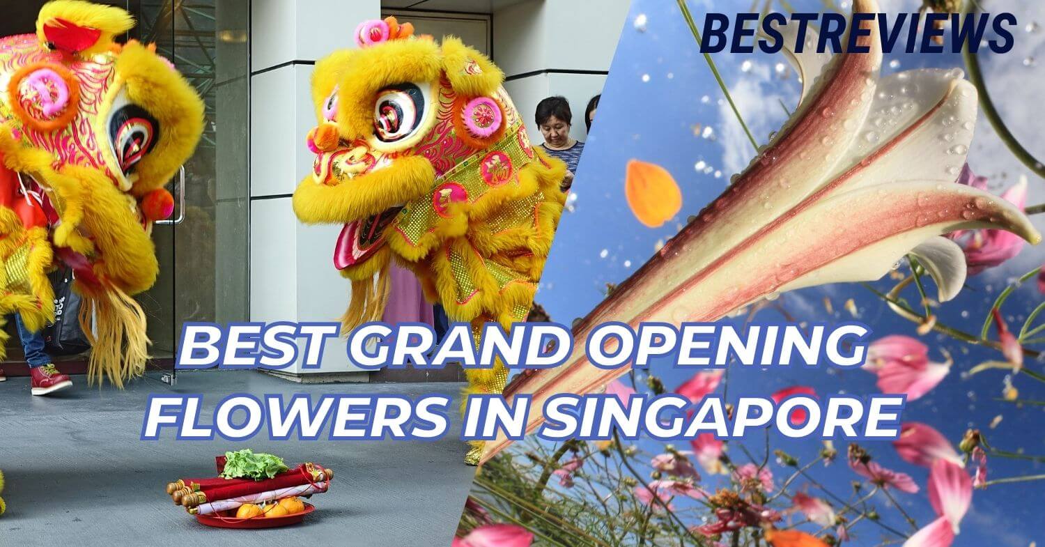 <a href="https://www.bestreviews.com.sg/best-grand-opening-flowers-singapore/" target="_blank">Best Reviews</a>