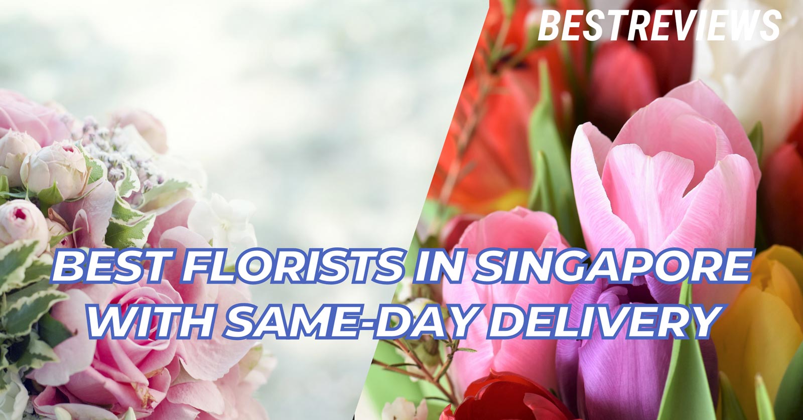 <a href="https://www.bestreviews.com.sg/best-florists-singapore-same-day-delivery/" target="_blank">BestReviews</a>