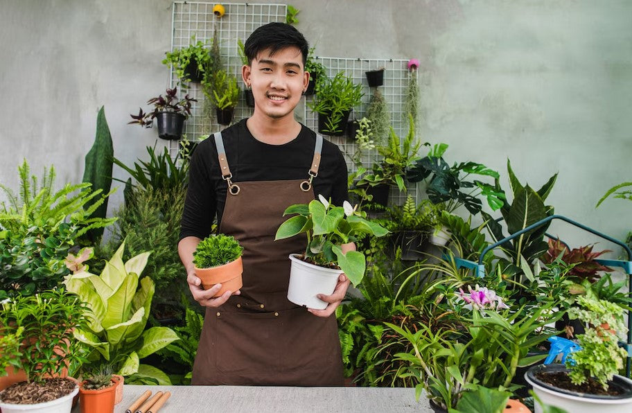 <a href="https://curatorsuite.com/best-flower-subscription-singapore/" target="_blank">Curatorsuite</a>