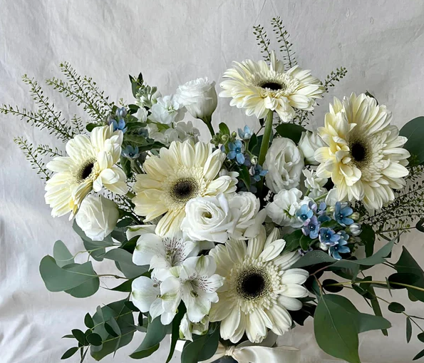 Discover The Vibrant World Of Daisies: A Guide To Different Types Of Daisies