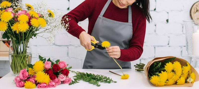 Dandelion Care: 7 Steps To Keep Dandelions Fresh And Bright