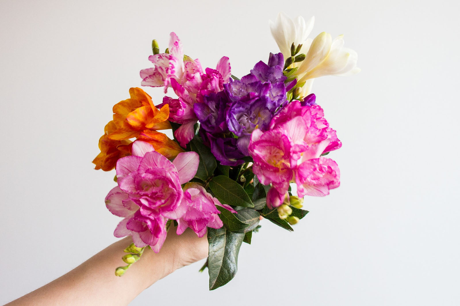 30 Flowers That Represent Confidence, Strength And Success