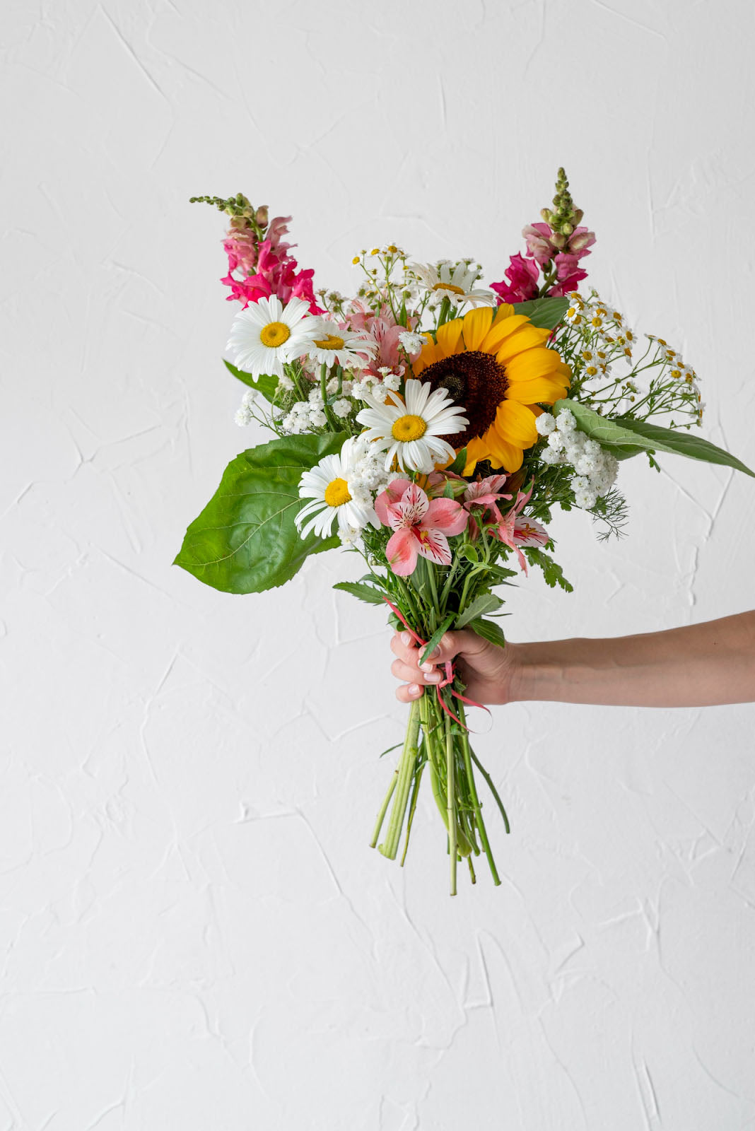 22 Flowers That Represent Grace, Gentleness, And Timeless Beauty