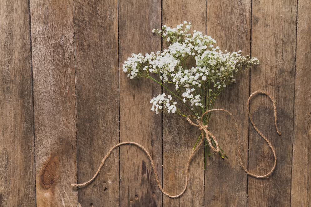 Baby's Breath Flowers Meaning