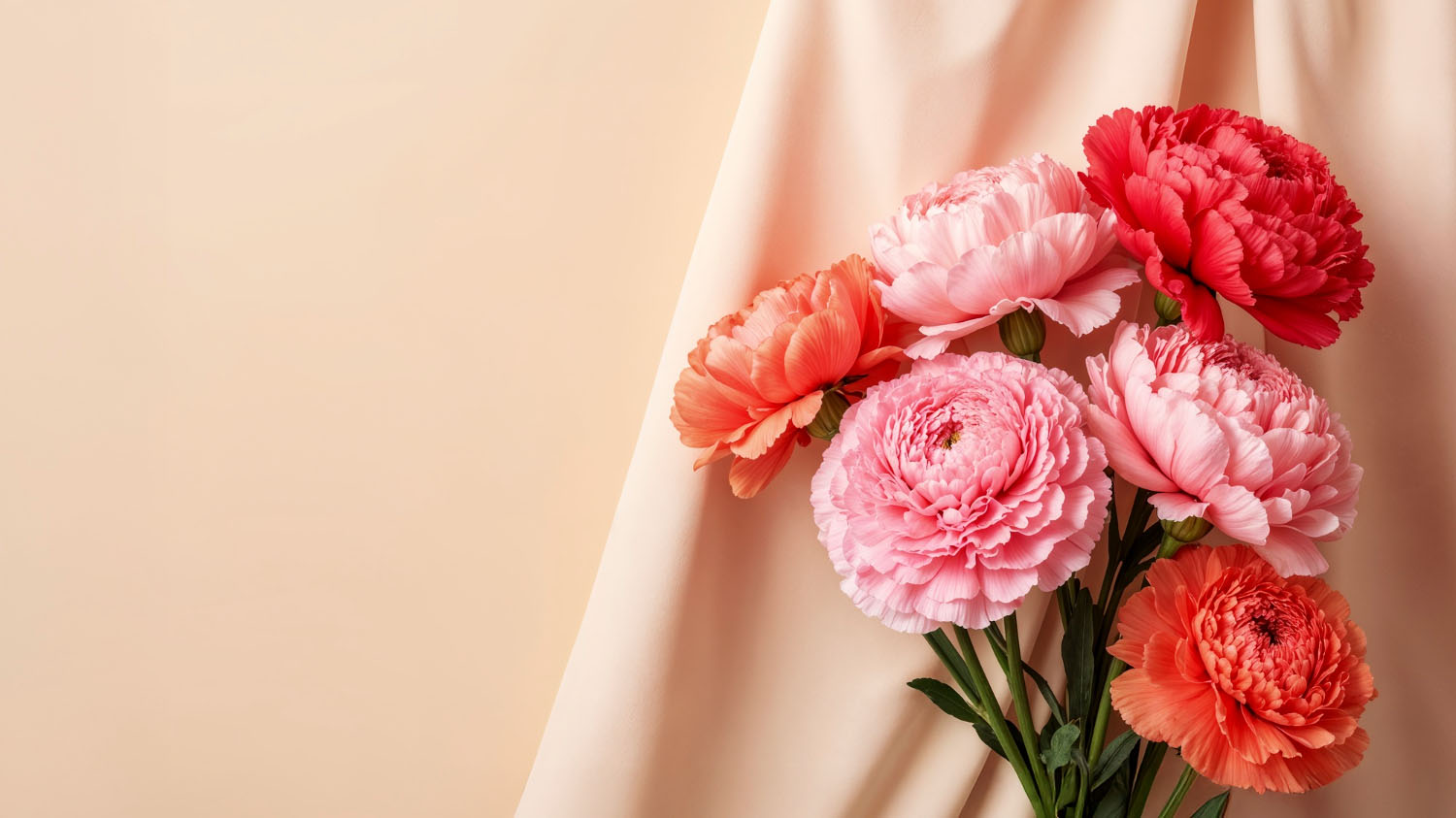 How Long Do Cut Ranunculus Flowers Last? Tips To Know