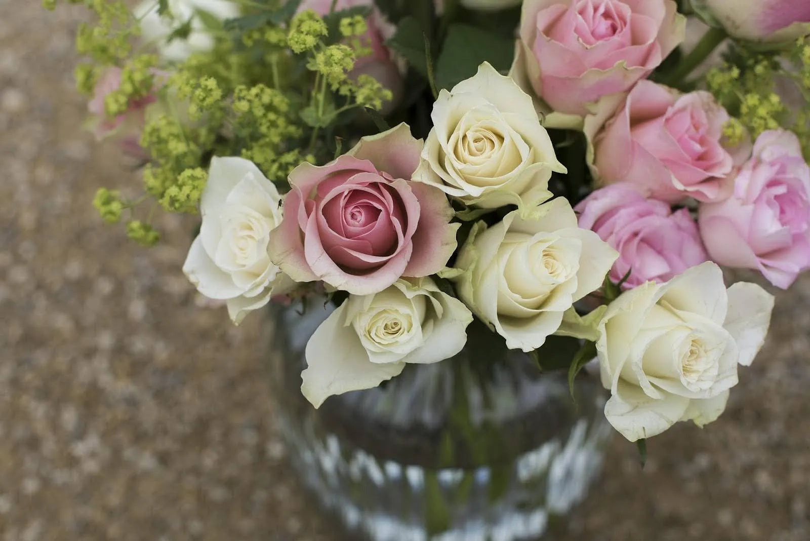 How To Make Roses Last Longer: 7 Secrets To Extend Their Life