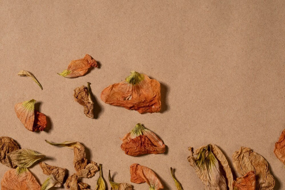 How to Dry Flower Petals: 4 Easy Methods For Petal Preservation