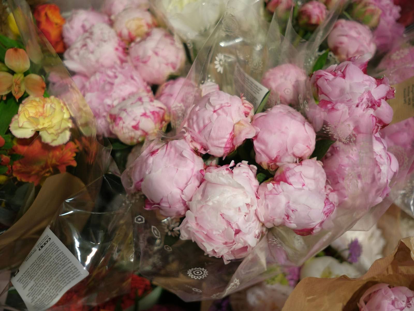 When Are Peonies in Season? A Guide to Their Blooming Beauty