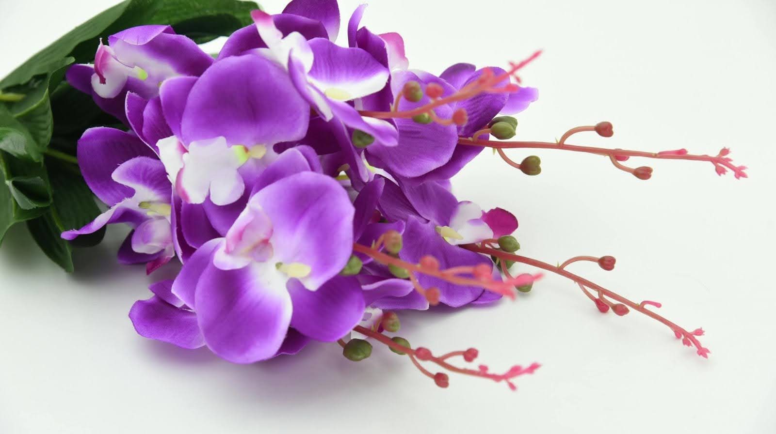 27 Stunning Flowers That Look Like Orchids