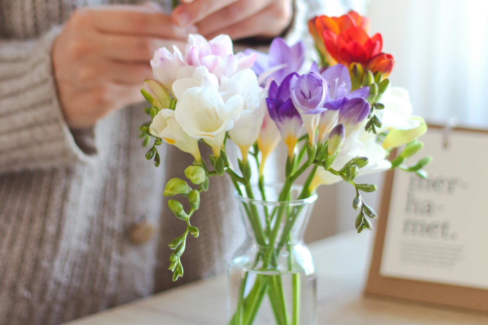 Meaning Of Freesia Flower: Unpacking Its Sweet Symbolism