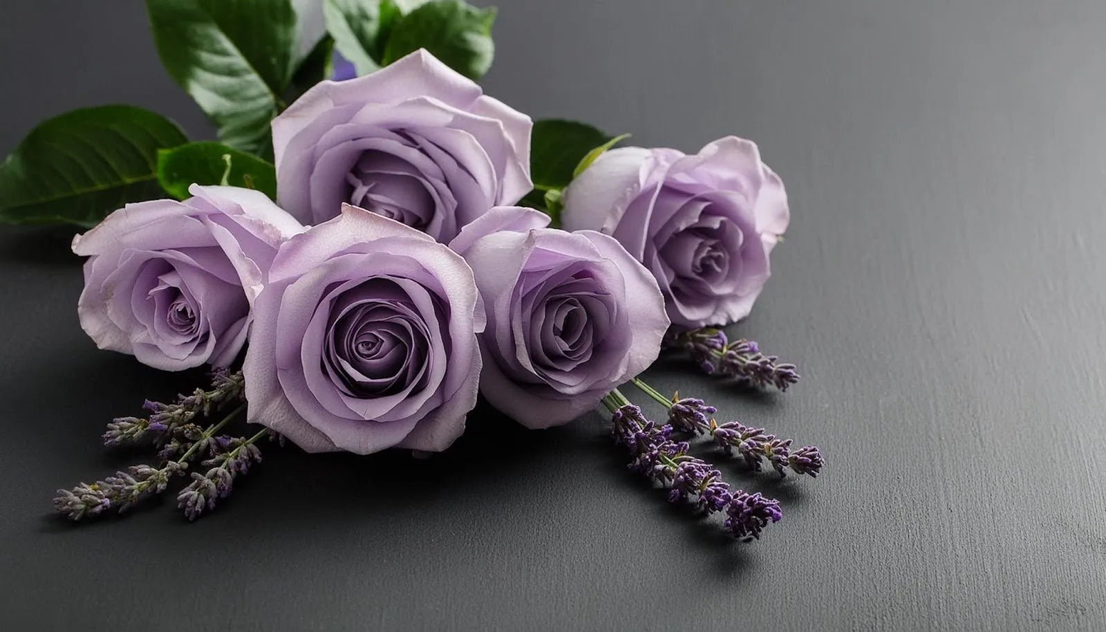Meaning Of Lavender Roses: Symbolism And Expert Care Guide 