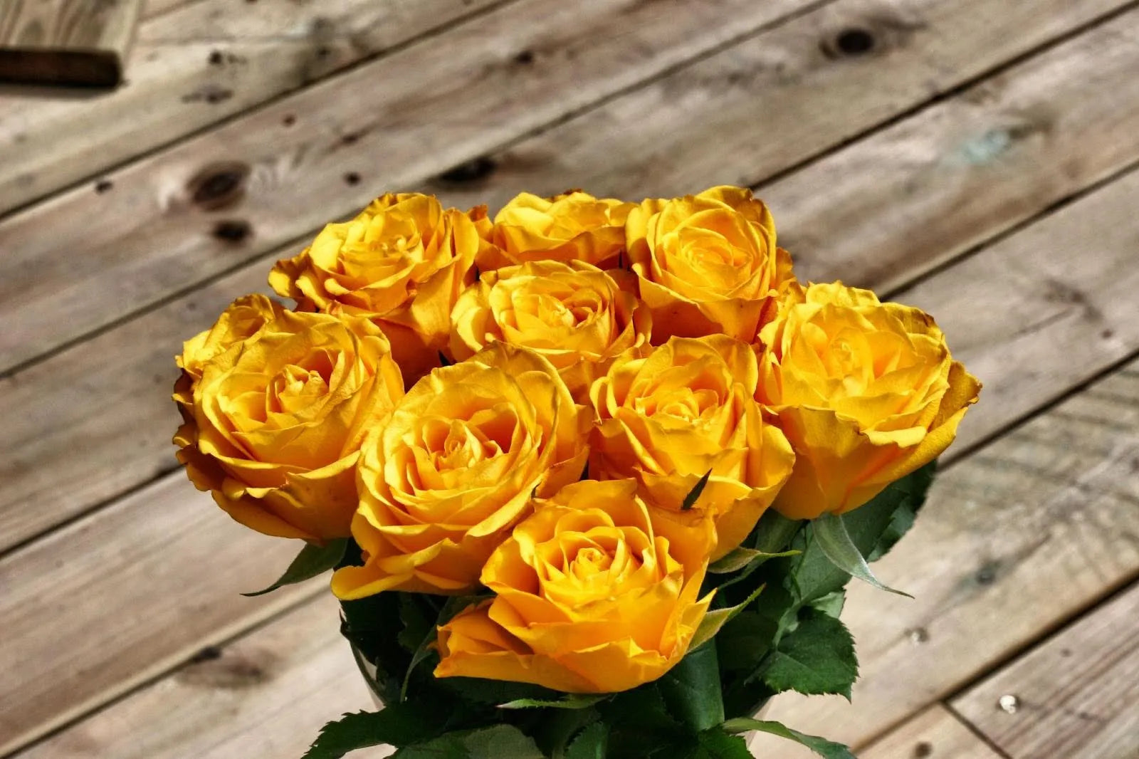 Meaning Of Yellow Roses: Symbolism And Care Tips