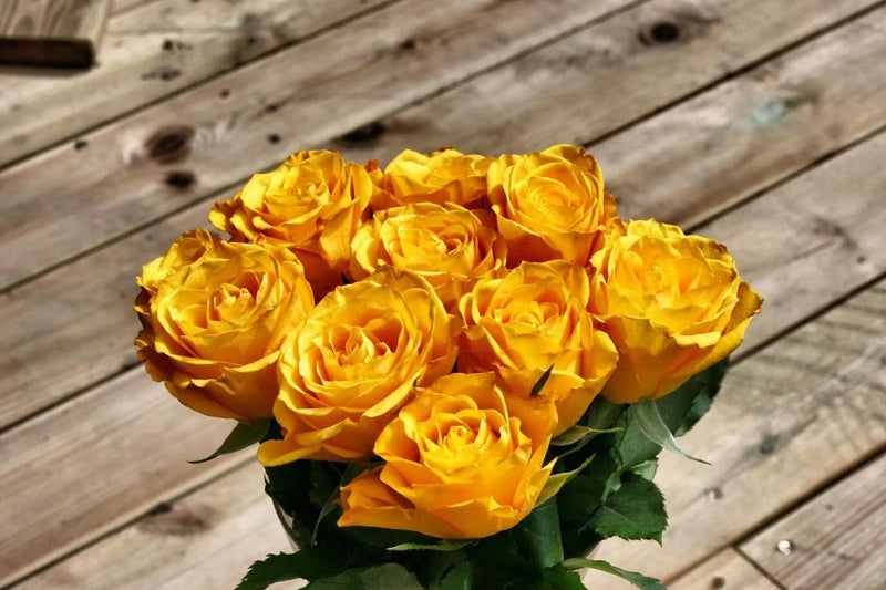 Meaning Of Yellow Roses: Symbolism And Care Tips