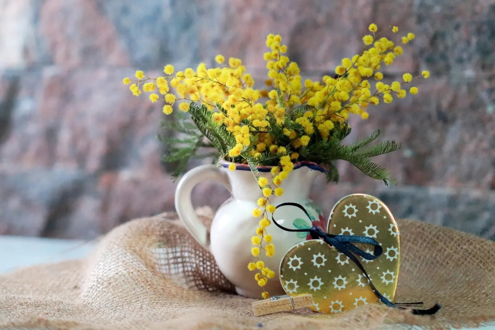 Mimosa Flower Meaning: A Look At Its Deeper Symbols