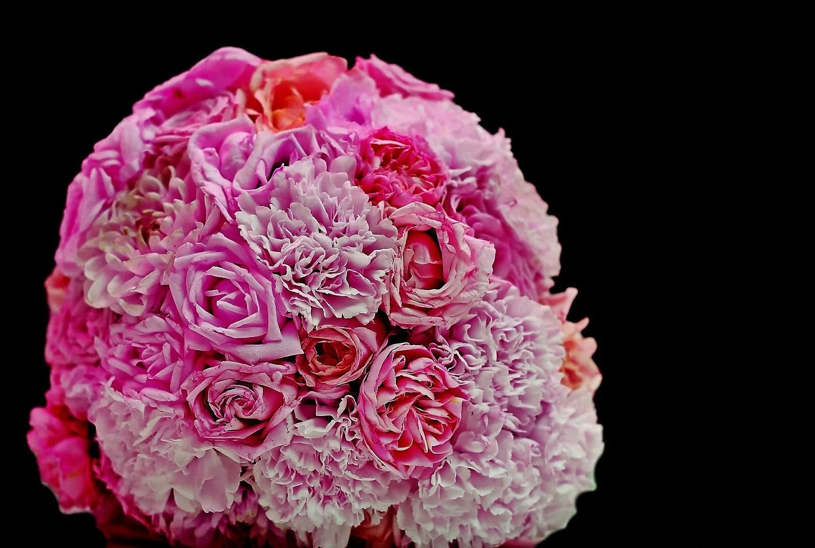 Pink Flowers Meaning: What These Elegant Blooms Symbolise