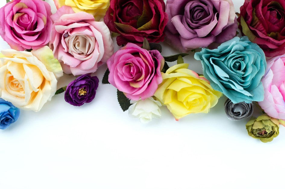 Roses colour meaning