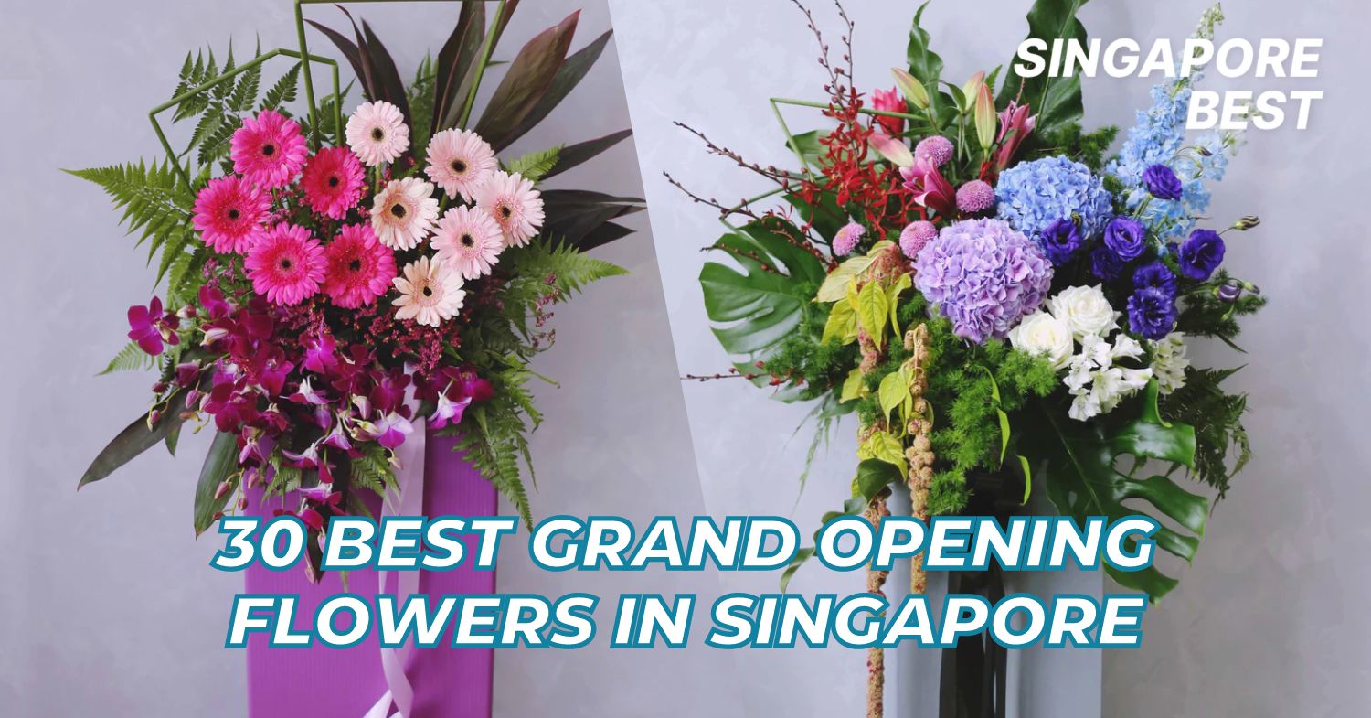 <a href="https://www.singaporebest.com.sg/best-grand-opening-flowers-singapore/" target="_blank">SingaporeBest</a>