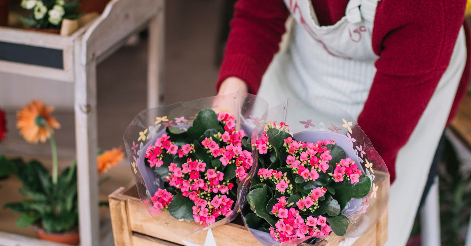 <a href="https://www.singaporebest.com.sg/best-same-day-flower-delivery-singapore/" target="_blank">SingaporeBest</a>