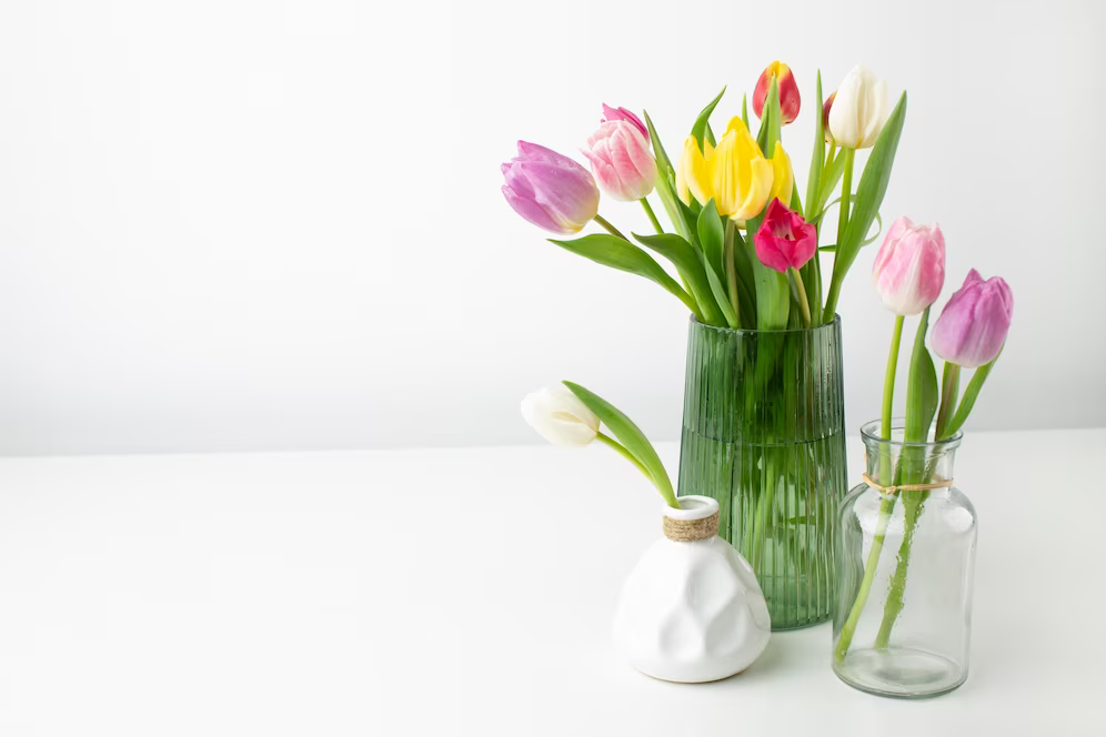 Tulips on vases
