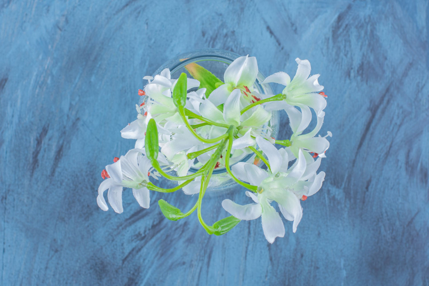 Understanding the Different Types of Oxypetalum Flowers