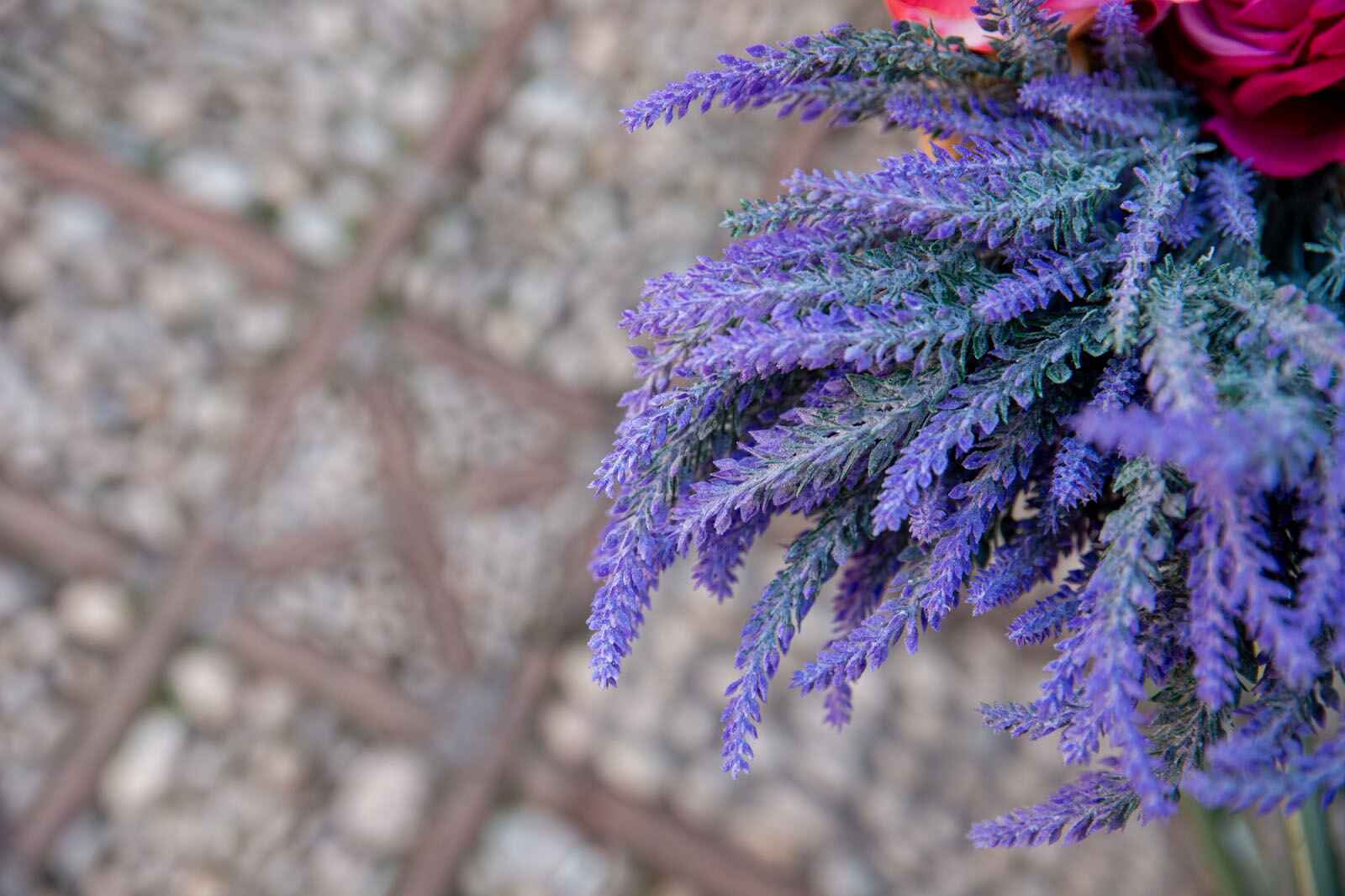 What Do Lavender Flowers Represent? Meaning, Symbolism & Benefits
