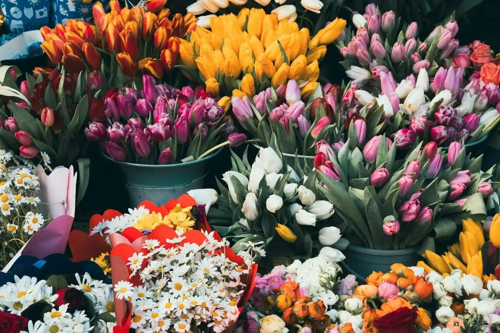 What Flowers Pair Well With Tulips? 39 Winning Pairings