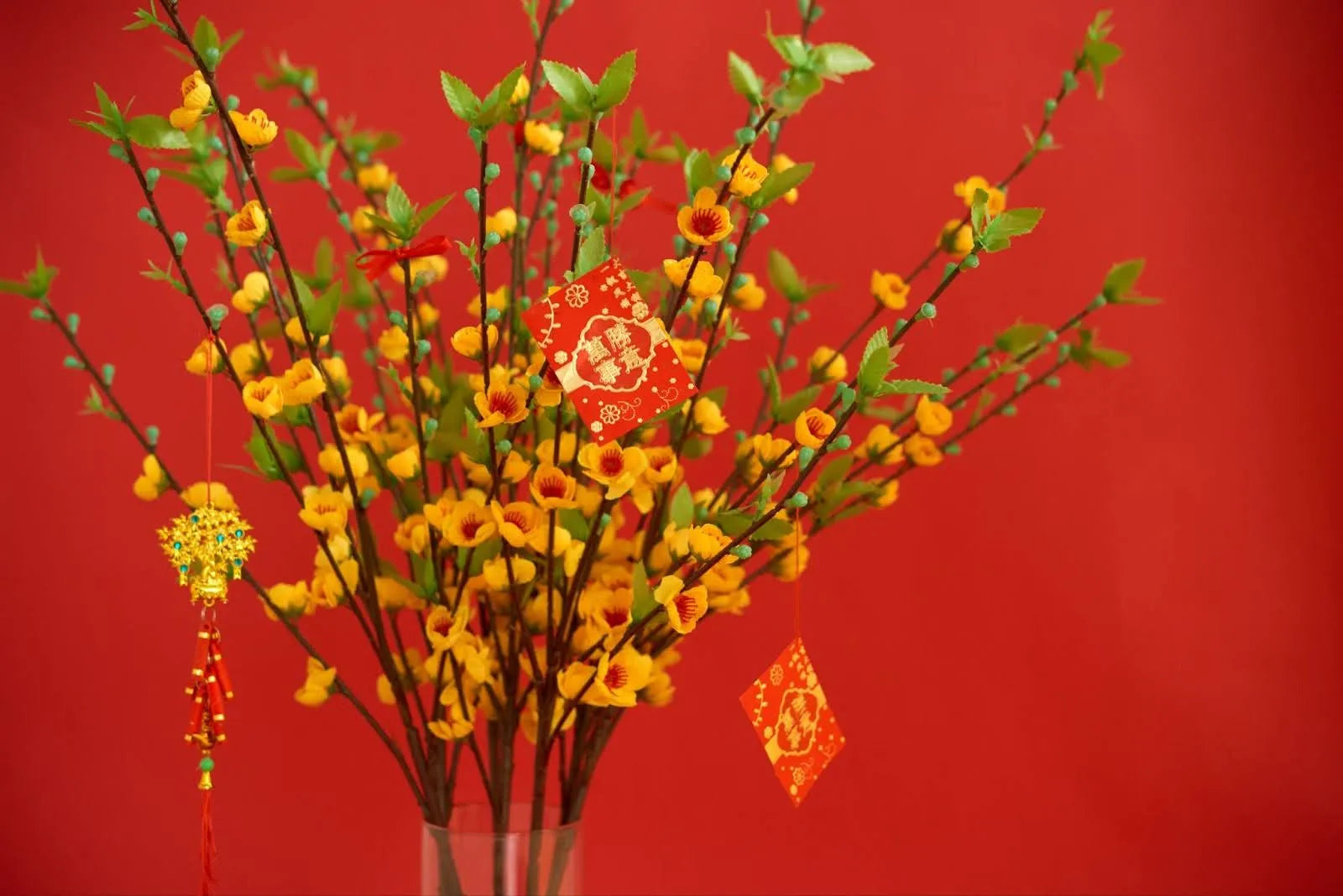 What Flowers for Chinese New Year 2026 (27 Lucky Blooms)