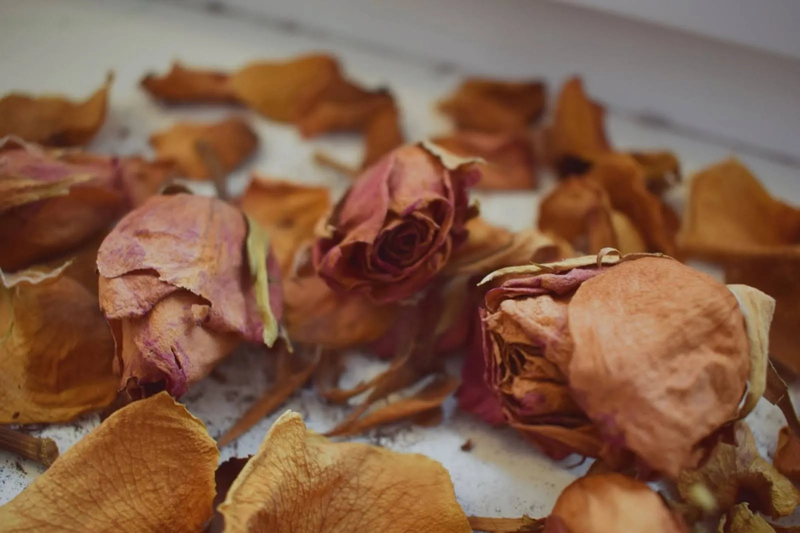 What To Do With Dried Roses: 21 Creative Ideas 