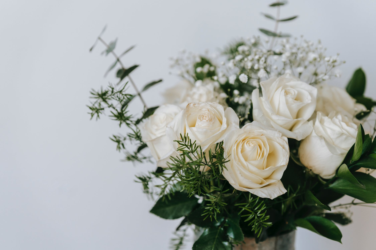 What Does A White Rose Mean? White Roses And Their Significance