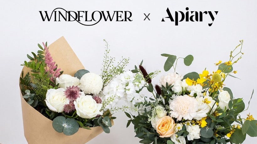 Windflower x Apiary collection group photo with the five collab arrangements under the collab wordmark