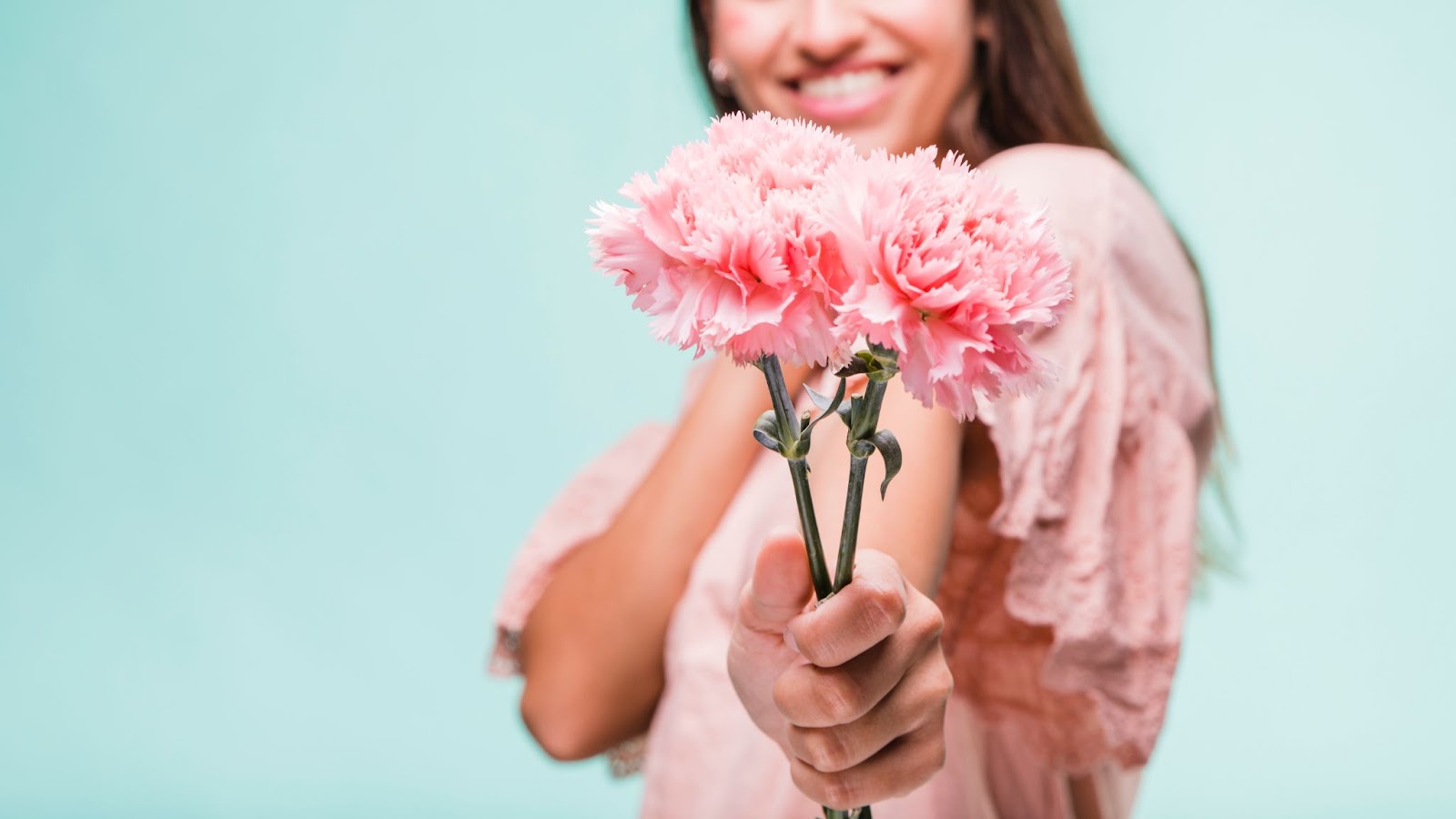 Carnation Flowers And Their Meaning: 11 Things You Need To Know