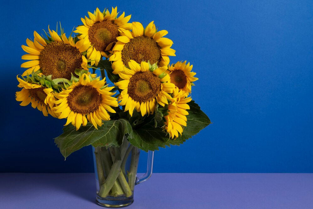 Sunflowers Meaning: A Deep Dive Into Their Symbolism