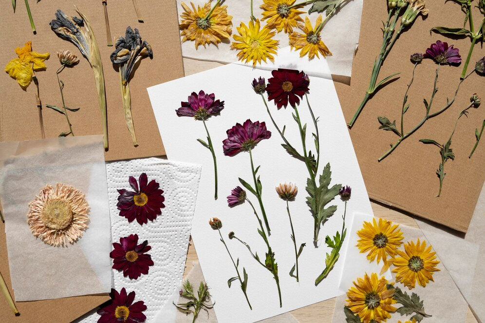 What To Do With Pressed Flowers: 10 Creative and Inspiring Ideas