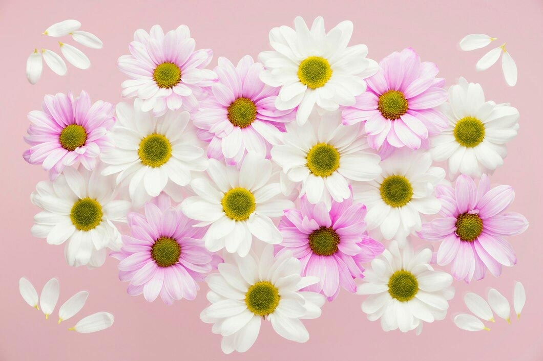 24 Flowers Go Well With Daisies In Floral Arrangements