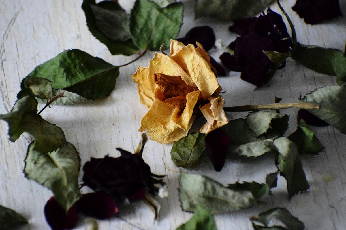 What To Do With Wilted Flowers: 10 Creative Ideas To Try