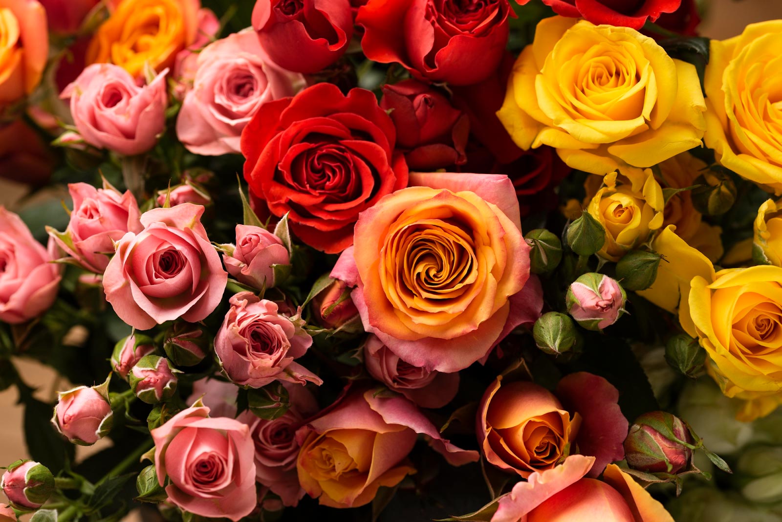 25 Flowers That Look Like Roses: A Guide To Rose-Like Blooms