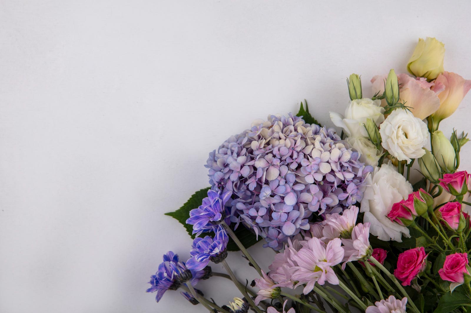 15 Flowers That Go Well With Hydrangeas In An Arrangement