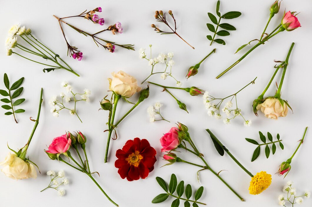 23 Types Of Small Flowers – Add Charm And Colour To Your Life