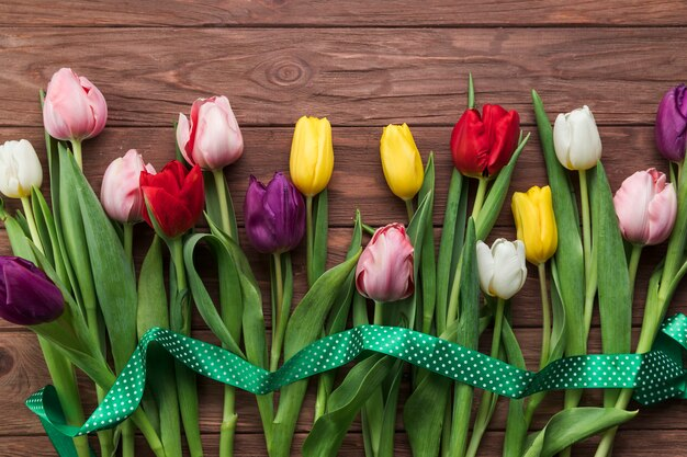 9 Different Types Of Tulips And Their Meaning