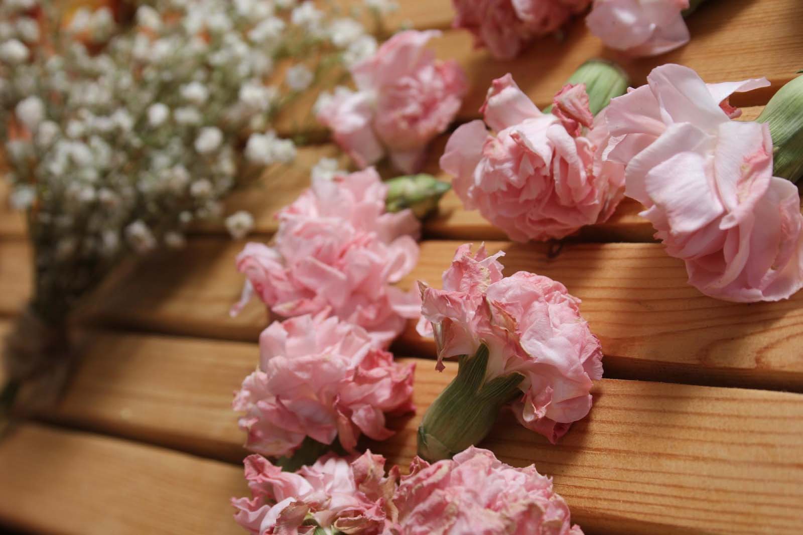 How To Dry Carnations In 5 Ways At Home